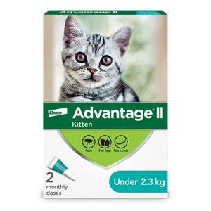 Elanco Advantage II Flea Treatment for Kittens - Under 2.3 kg