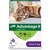 Elanco Advantage II Flea Treatment for Cats - 4 kg and over