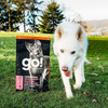 Go! Solutions Carnivore Grain-Free Salmon and Cod