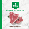 Instinct Limited Ingredient Diet Grain-Free Recipe with Real Lamb - 20 lbs