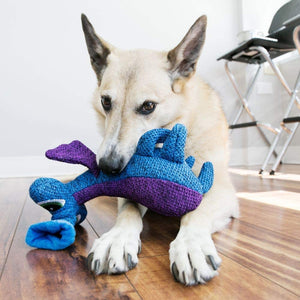 KONG Woozles Blue - Medium