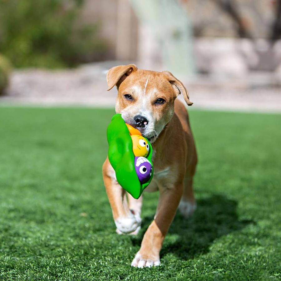 Three Peas in a Pod Latex Dog Toy