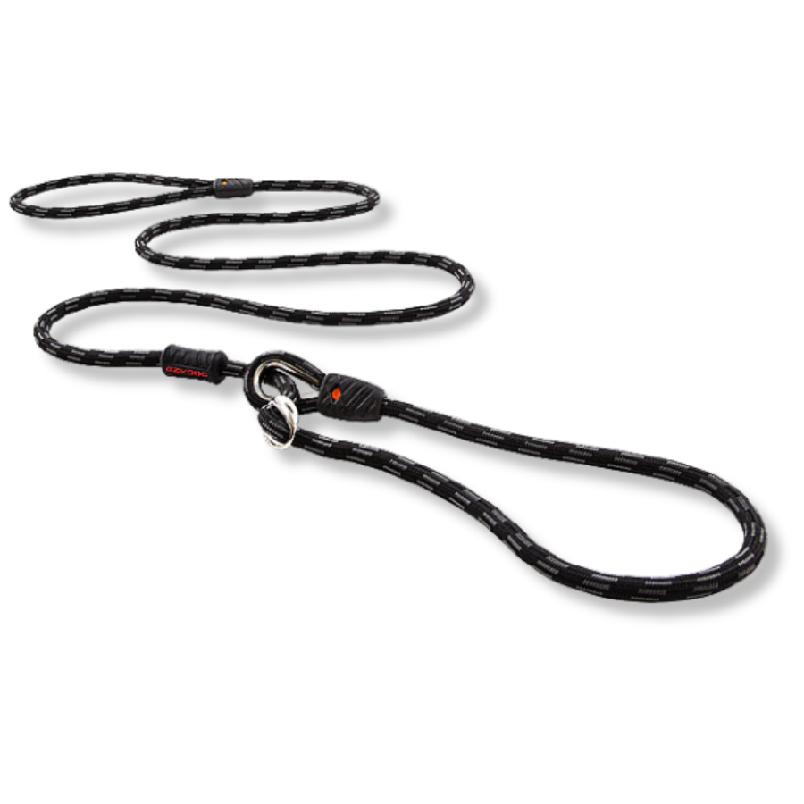 EZYDOG Luca Leash Black - 6'