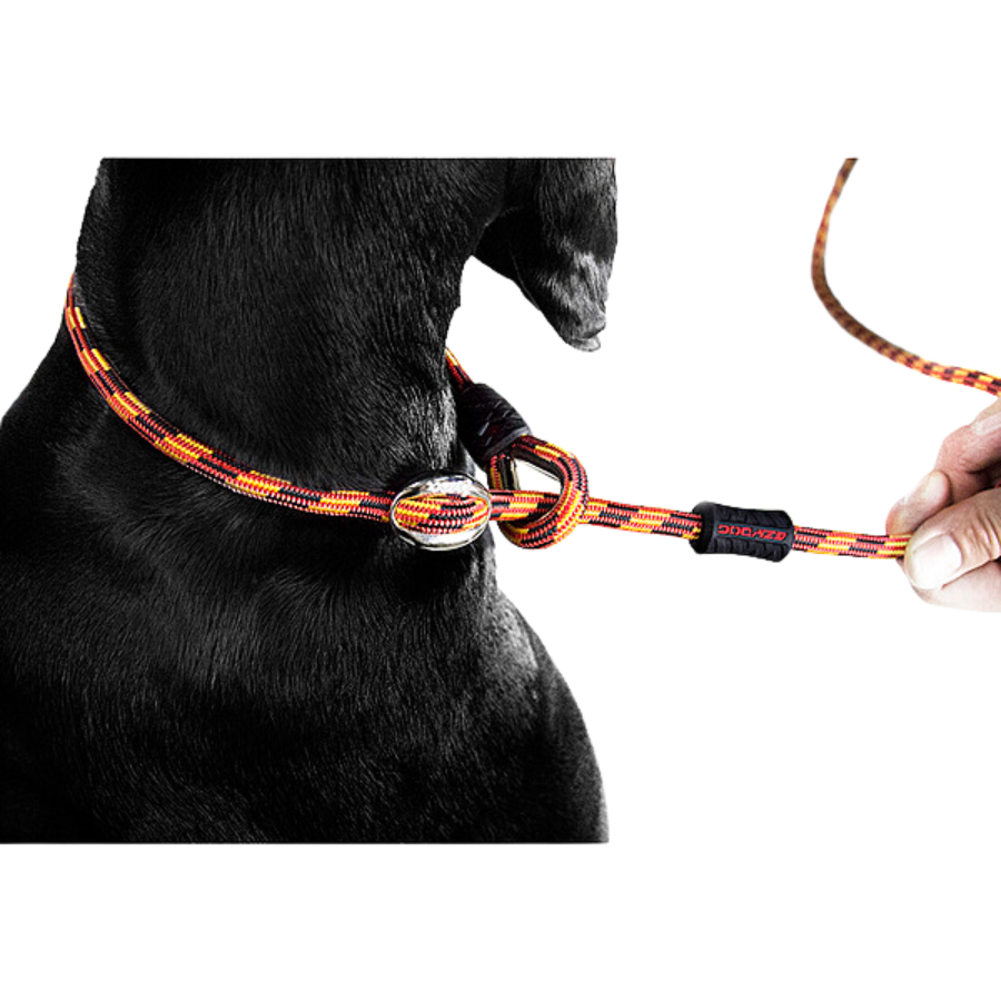 EZYDOG Luca Leash Black - 6'