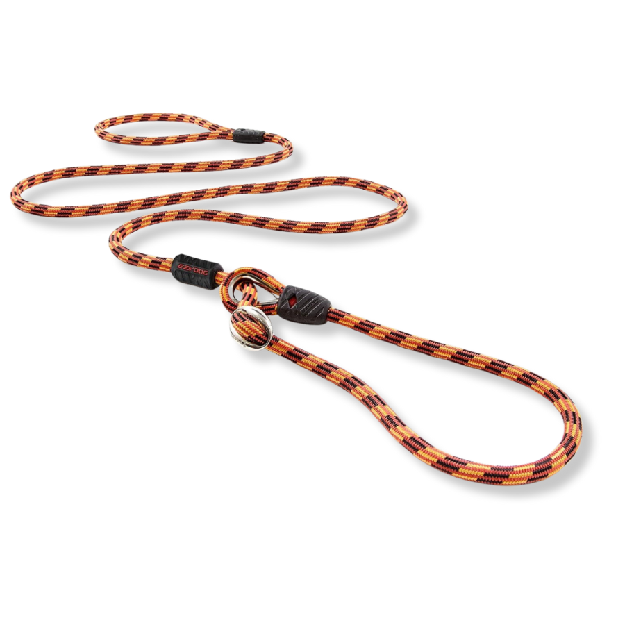 EZYDOG Luca Leash Orange