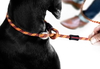 EZYDOG Luca Leash Lite Black