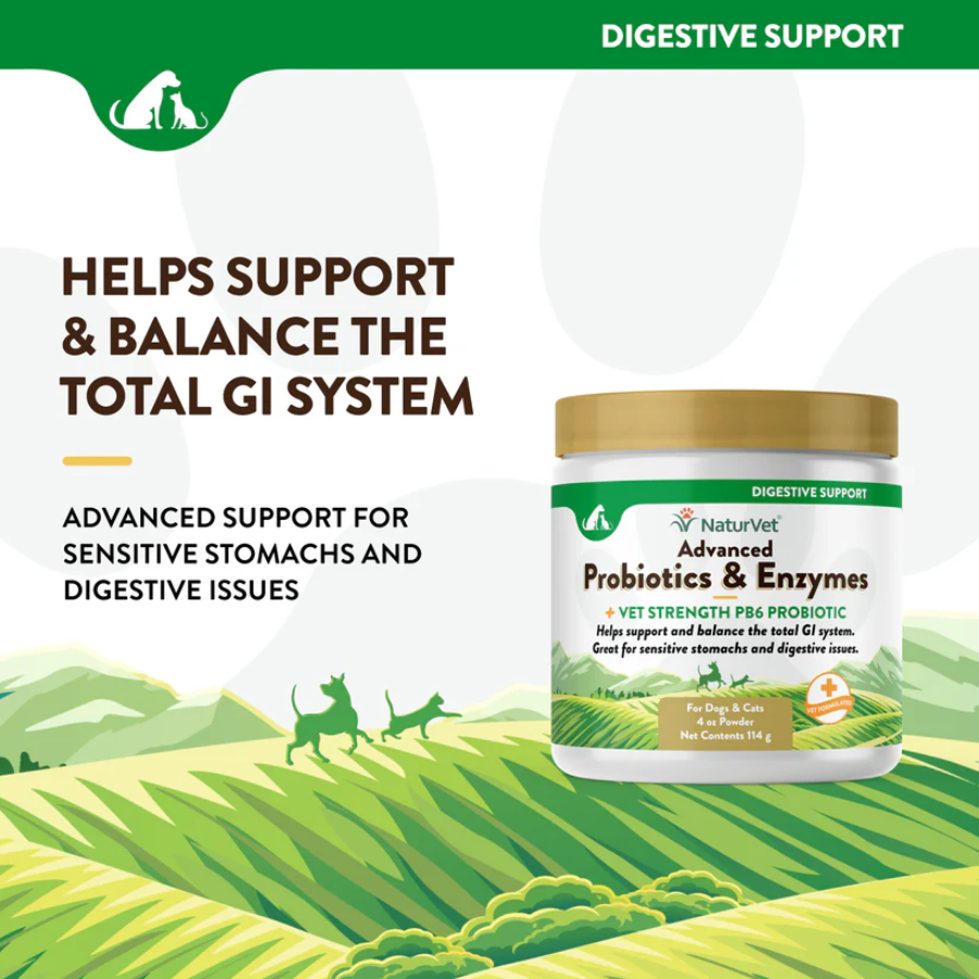 NaturVet Advanced Probiotics and Enzymes Powder - 4 oz