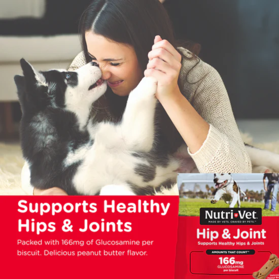 Nutri-Vet Hip and Joint Biscuits Dogs Regular Strength - 19.5 oz