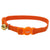 Coastal Safe Breakaway Cat Collar - Orange