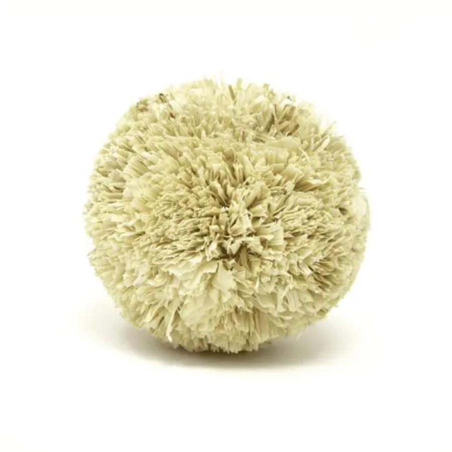 Oxbow Enriched Life Play Pom