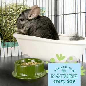 OXBOW Poof Chinchilla Dust Bath