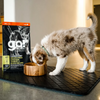 Go! Solutions Carnivore Grain-Free Chicken, Turkey and Duck Puppy Recipe