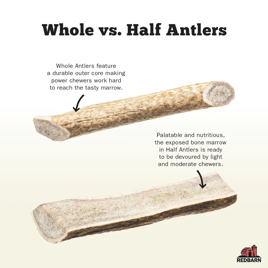 RedBarn Half Deer Antler - X-Large (7")