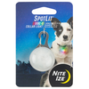 SpotLit Collar Light - Disco