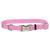 Coastal Titan Nylon Collar with Metal Buckle - Pink