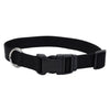 Coastal Tuff Nylon Collar - Black