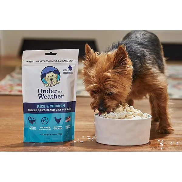 Under the Weather Bland Diets for Sick Dogs and Sensitive Stomachs - Chicken and Rice