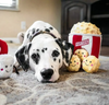 ZippyPaws Popcorn Bucket Burrow Toy